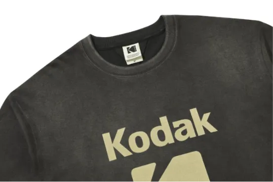 フラッシュウォッシング ブラー ビッグロゴ ショートスリーブ Tシャツ【ブラウン】