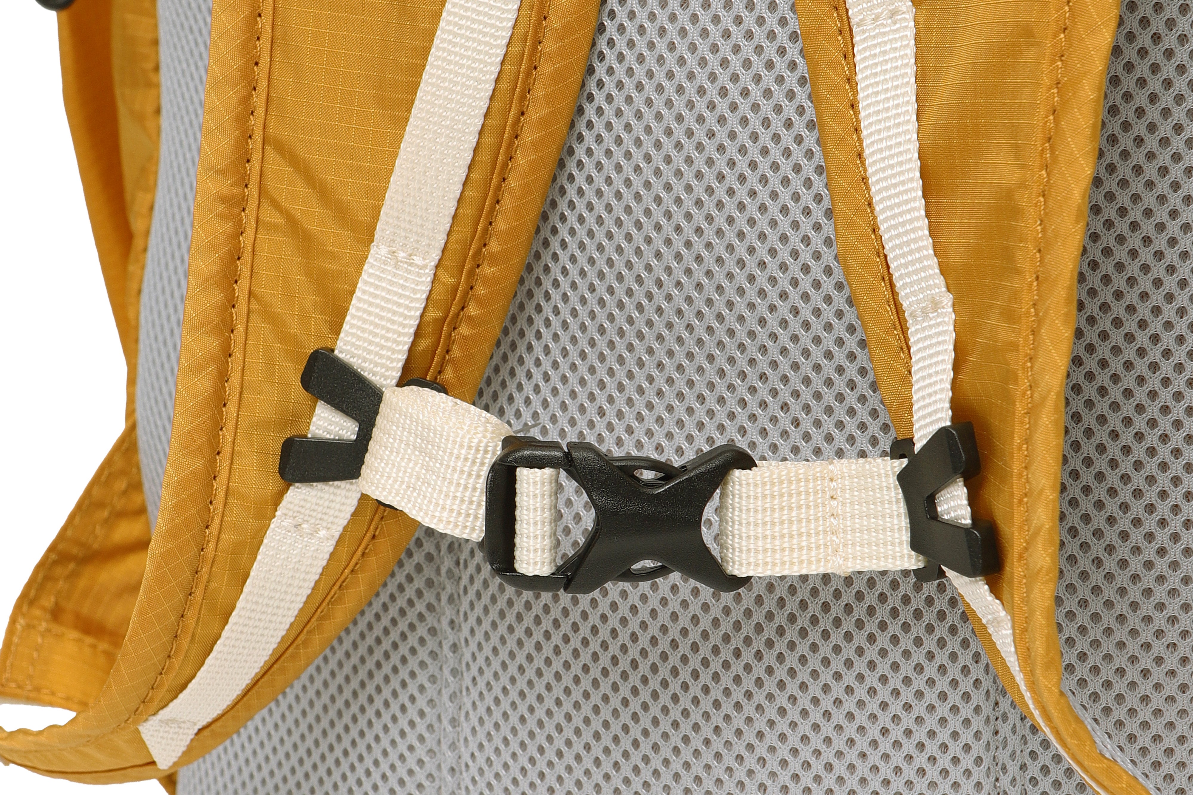 カラーラマコアバックパック（22L）【スカイブルー】