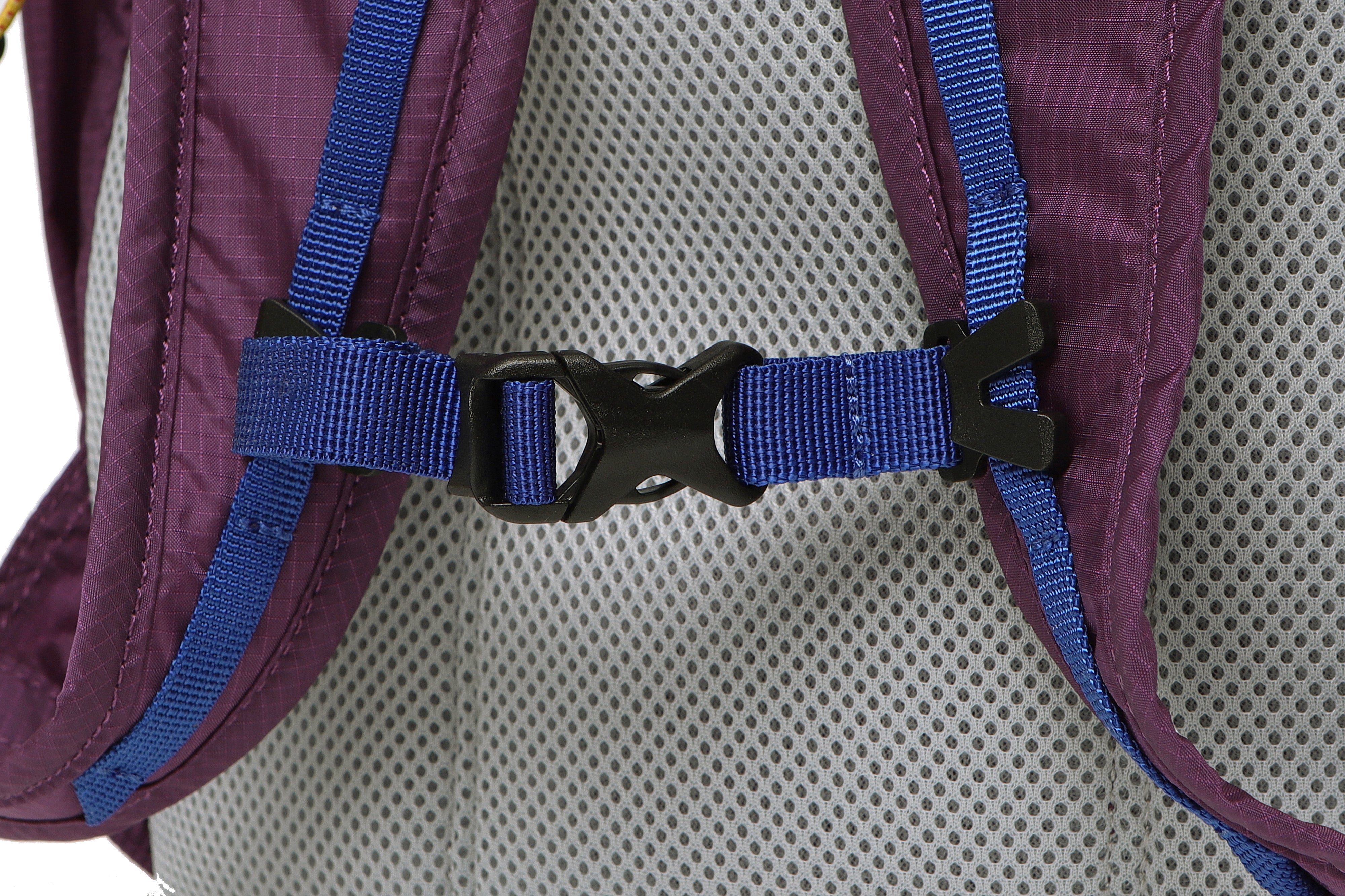 カラーラマコアバックパック（22L）【スカイブルー】